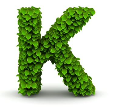 Leaves alphabet font letter K on white background