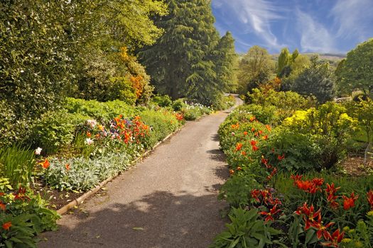Late Spring mixed borders allongside a path in the Dorothy Clive garden in Shropshire, England.