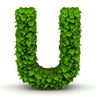 Leaves alphabet font letter U on white background