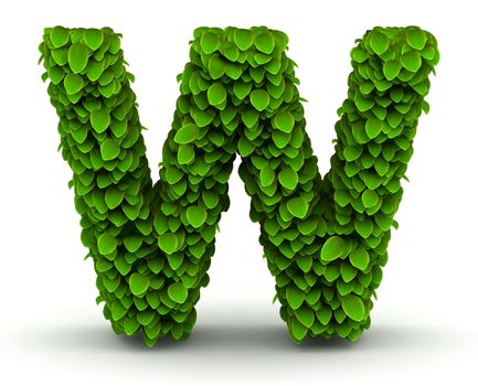 Leaves alphabet font letter W on white background