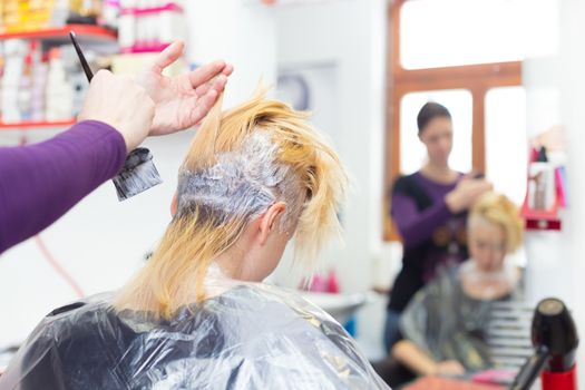 Hairdresser salon. Hair colouring in process. Beautiful young woman dyeing hairs.