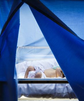 "Neonatal Jaundice" Newborn was therapy by Phototherapy