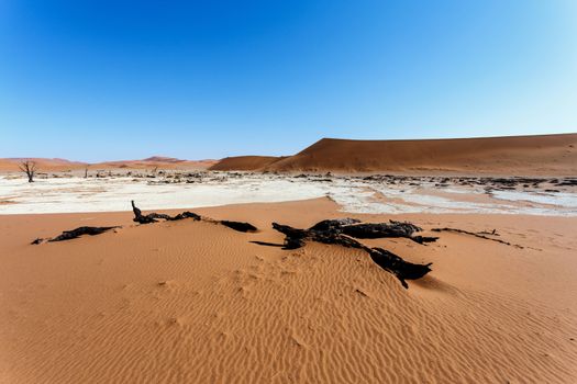 Sossusvlei beautiful sunrise landscape of hidden death valley in Namibian desert with blue sky, best place in Namibia