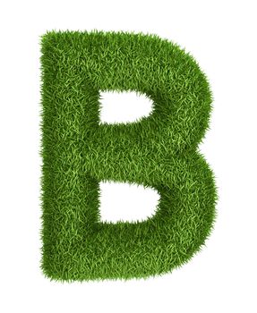 Letter B  isolated photo realistic grass ecology theme on white