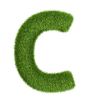 Letter C  isolated photo realistic grass ecology theme on white