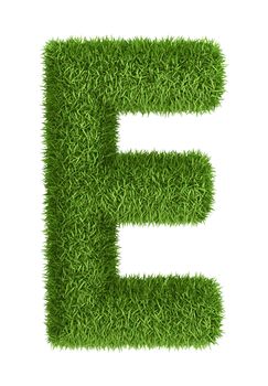 Letter E  isolated photo realistic grass ecology theme on white