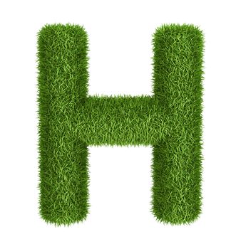 Letter H  isolated photo realistic grass ecology theme on white
