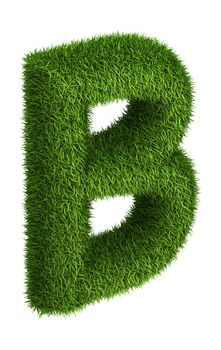 3D Letter B  photo realistic isometric projection grass ecology theme on white