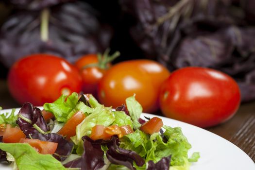 Mixed salad with red chicory and tomato