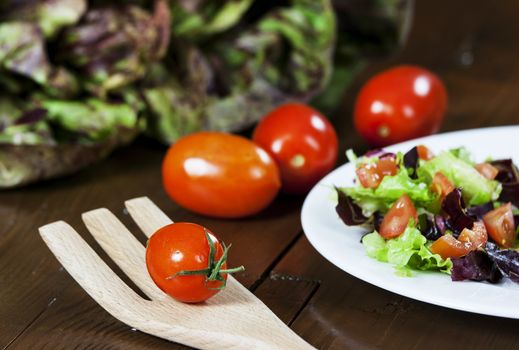 Mixed salad with red chicory and tomato