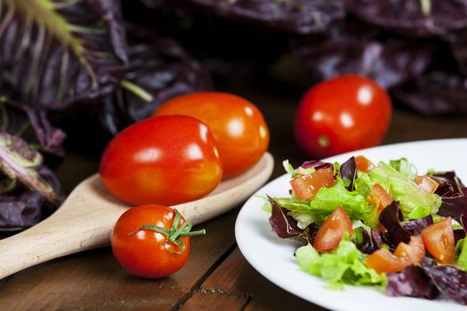 Mixed salad with red chicory and tomato