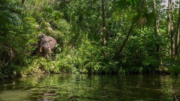 An adult elephnant appearing out of the jungle