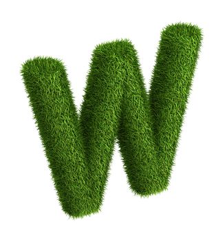 3D Letter W photo realistic isometric projection grass ecology theme on white