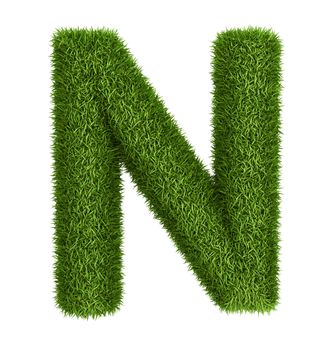 Letter N  isolated photo realistic grass ecology theme on white