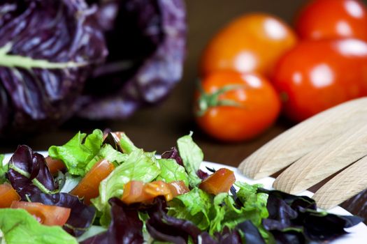 Mixed salad with red chicory and tomato