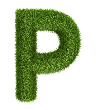 Letter P  isolated photo realistic grass ecology theme on white