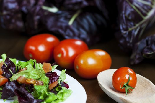 Mixed salad with red chicory and tomato