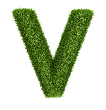 Letter V  isolated photo realistic grass ecology theme on white