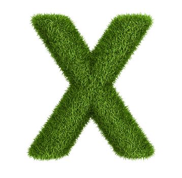 Letter  X isolated photo realistic grass ecology theme on white