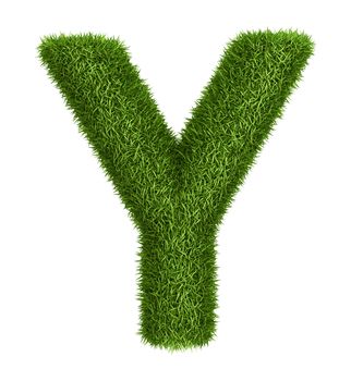 Letter  Y isolated photo realistic grass ecology theme on white