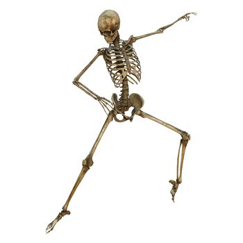 3D digital render of a human dancing skeleton isolated on white background