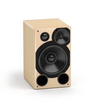 One wooden concert style speaker  hi-fi audio system on white background