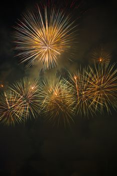 Colorful fireworks over dark sky
