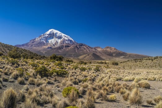 Scenic Nevado Sajama volcano, highest peak in Bolivia in Sajama national park