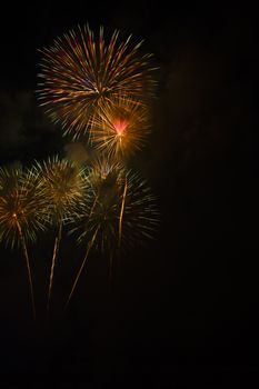 Fireworks light up the sky with dazzling display