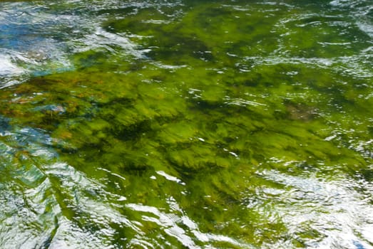 Flowing green algae of Yellowstone National Park