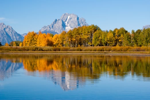 Snowy Tetons and Aspens in Fall colors