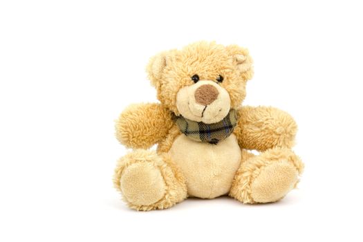 teddy bear on white background