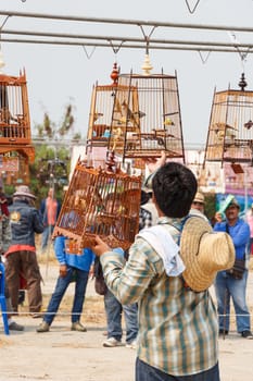 PHITSANULOK, THAILAND - MARCH 29, 2014. Competitor hang birdcage in "bird call contest" (Red-whiskered bulbul) on March 29,2014 at Phitsanulok,Thailand