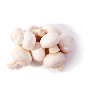 Heap of mushrooms on a white background