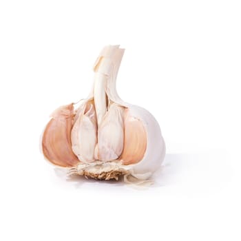 Garlic on a white background