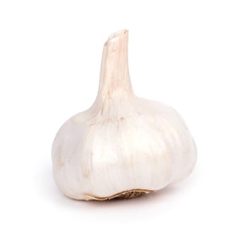 Garlic on a white background