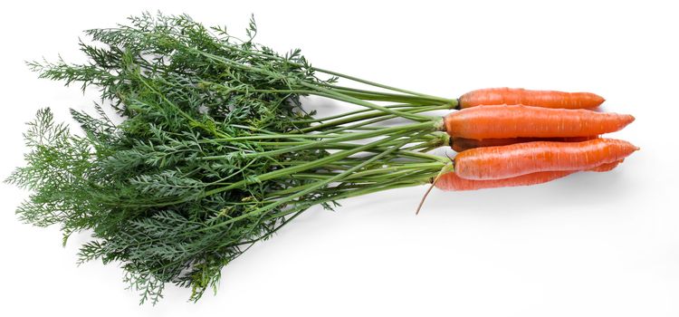 Delicious carrot on a white background