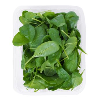 Green spinach on a white background