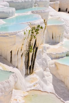 Blue water travertine pools and terraces in Pamukkale, Turkey