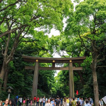 Japan - May 25, 2014. Many people walk through Torii(gate) in old temple area ,Japan