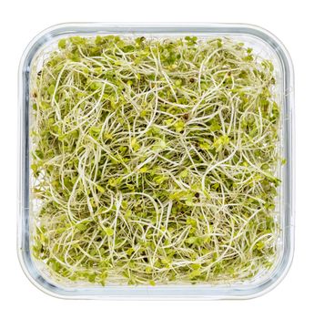 broccoli and radish sprouts in a square glass container isolated on white