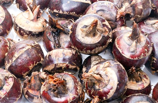 pile of Water Chestnut on white background