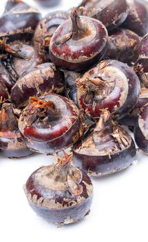 pile of Water Chestnut on white background