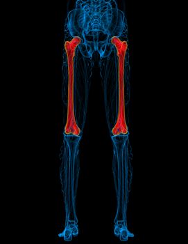 3d render medical illustration of the femur bone - back view