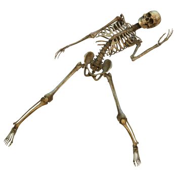 3D digital render of a human dancing skeleton isolated on white background