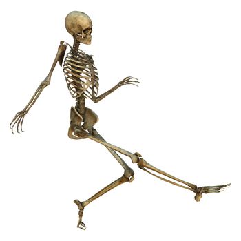 3D digital render of a human dancing skeleton isolated on white background