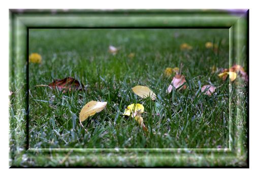 Painting in a rectangular frame with the image of green grass and yellow autumn leaves on a white background