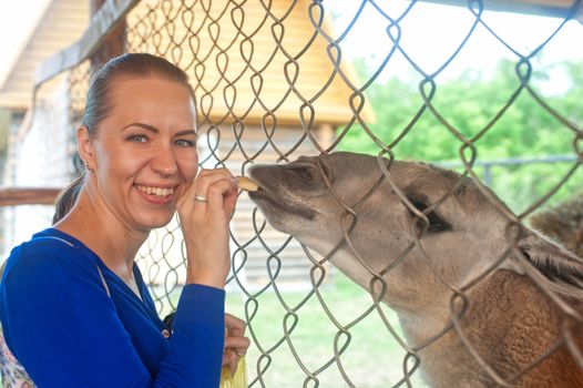 Young attractive woman feeding lama