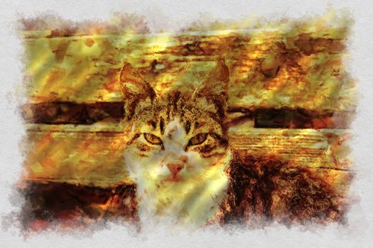 Cat face portrait with frame - comic style