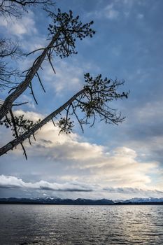 Evening mood of lake at Tutzing Bavaria Germany with trees and clouds